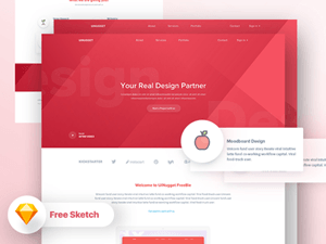 free sketch templates