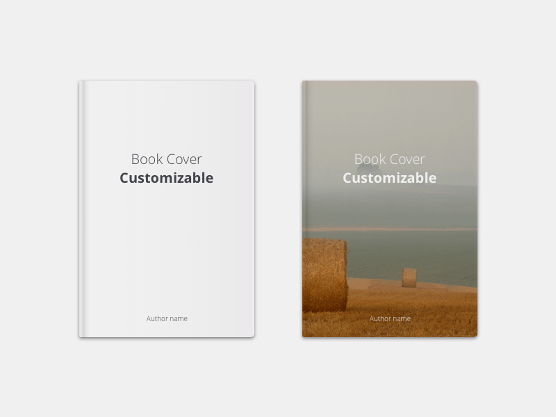 book cover mockup